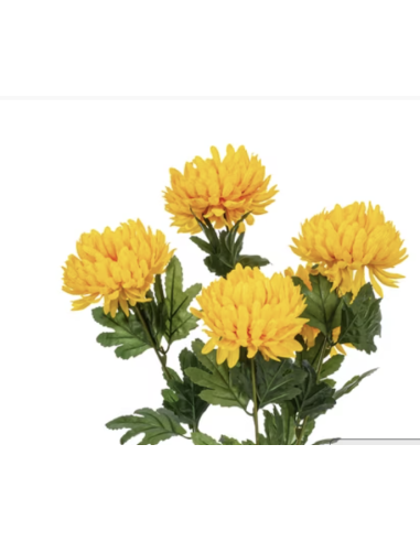 Fresh Yellow African Marigold Stems (10 Stem Bunch) | Wholesale Flowers