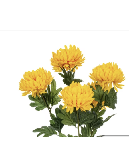 Fresh Yellow African Marigold Stems (10 Stem Bunch) | Wholesale Flowers