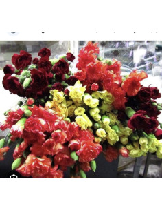 Fresh Mini Carnation Stems (10 Stem Bunch) | Wholesale Flowers 2
