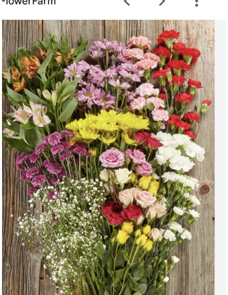 Fresh Mini Carnation Stems (10 Stem Bunch) | Wholesale Flowers
