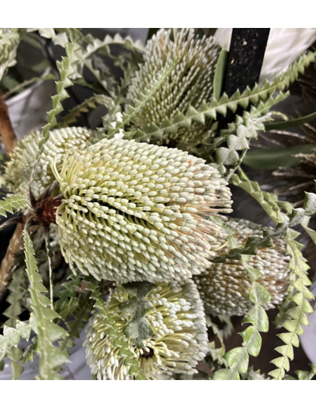 Wholesale Green Banksia Protea (Single Stem) | Bulk Tropical Flowers