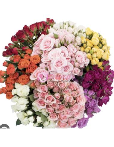 Wholesale Assorted Spray Roses (10 Stems) | Bulk Petite Roses