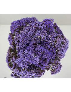 Wholesale Purple Seafoam Statice (10 Stems) | Bulk Filler Flowers