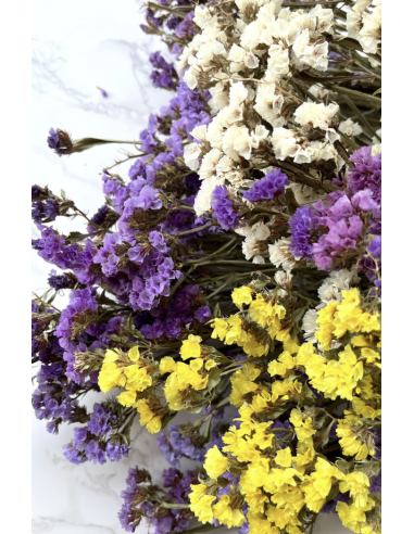 Wholesale Statice (10 Stems) | Pink, Lavender, Purple & White Bunches