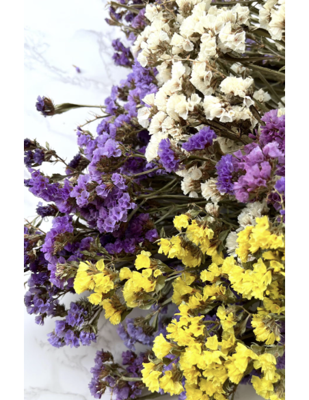 Wholesale Statice (10 Stems) | Pink, Lavender, Purple & White Bunches