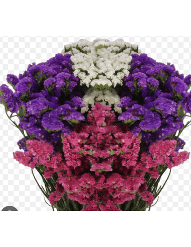 Wholesale Statice (10 Stems) | Pink, Lavender, Purple & White Bunches