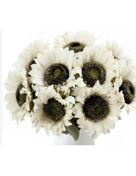 Wholesale White Bi-Color Sunflowers (10 Stems) | Specialty Sunflowers