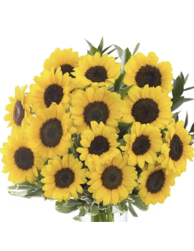 Wholesale Mini Sunflowers (10 Stems) | Bulk Small Yellow Flowers