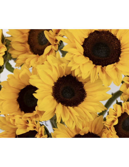 Wholesale Mini Sunflowers (10 Stems) | Bulk Small Yellow Flowers
