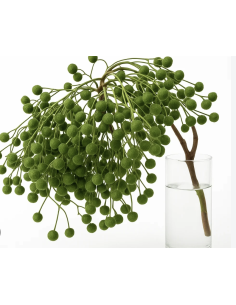 Wholesale Green China Berry (Grower's Bunch) | Bulk Berry Branches