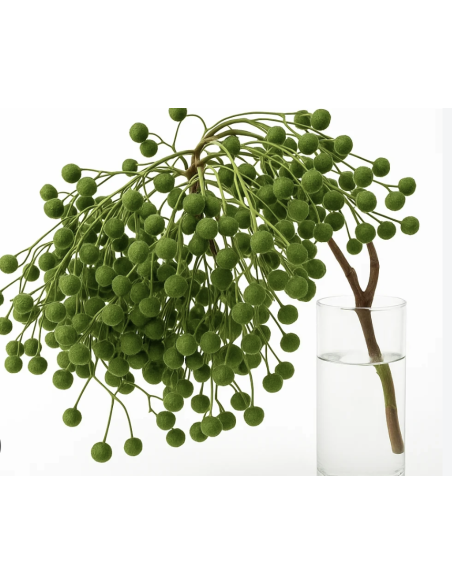 Wholesale Green China Berry (Grower's Bunch) | Bulk Berry Branches