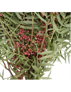 Wholesale Hanging Pepperberry 10 Stems | Flowerbunches 2