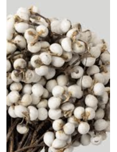 Wholesale Tallowberry Tips Grower's Bunch | Flowerbunches