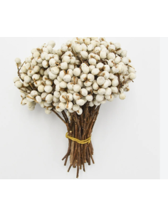 Wholesale Tallowberry Tips Grower's Bunch | Flowerbunches 2