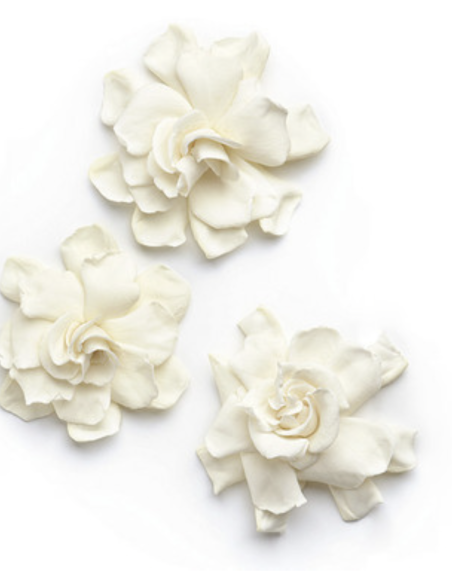 : Wholesale Gardenia 3 Pack | Flowerbunches
