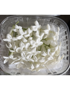 Wholesale Stephanotis 25 Blooms | Flowerbunches