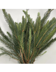 Wholesale Australian Pine Grower's Bunch | Flowerbunches 2