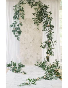 Southern Smilax BIG BOX