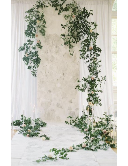 Southern Smilax BIG BOX
