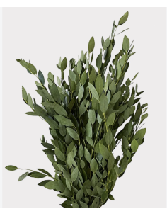Wholesale Bay Leaf Grower's Bunch | Flowerbunches