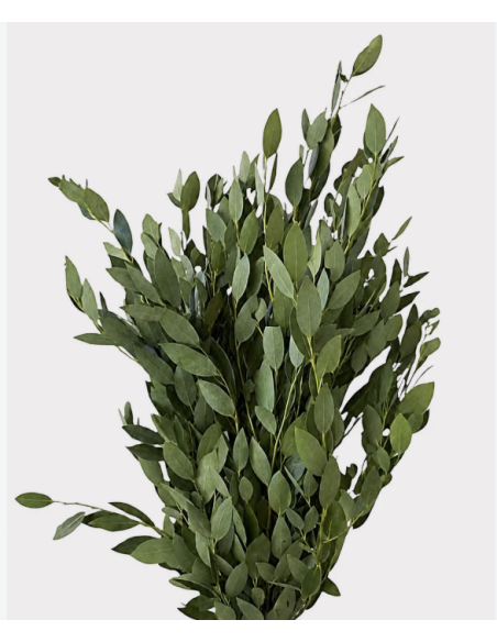 Wholesale Bay Leaf Grower's Bunch | Flowerbunches