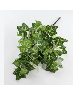 Wholesale Green Bush Ivy 10 Stems | Flowerbunches 2