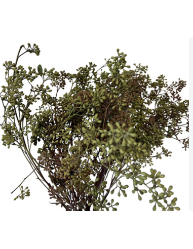 : Wholesale Naked Seeded Eucalyptus Grower's Bunch | Flowerbunches