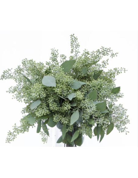 Wholesale Seeded Eucalyptus Grower's Bunch | Flowerbunches