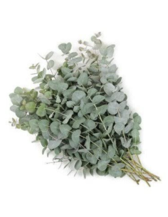 Wholesale True Blue Eucalyptus Grower's Bunch | Flowerbunches 2