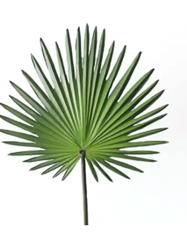 Palmetto Palm 10 Stem Bunch - Wholesale Tropical Greens