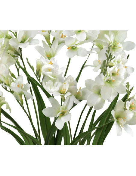 Fresh White Freesia Stems | Wholesale Scented Flowers