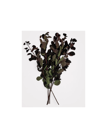 Smokebush Foliage 32" Non-Flowering 5 Stem Bunch - Wholesale Greens