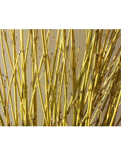 Yellow Short Dogwood 10 Stem Bunch - Wholesale Branching Foliage