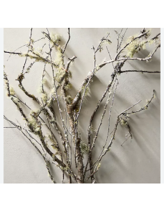 Lichen Covered Branches 6' Tall 5 Stem Bunch - Wholesale Branching 2