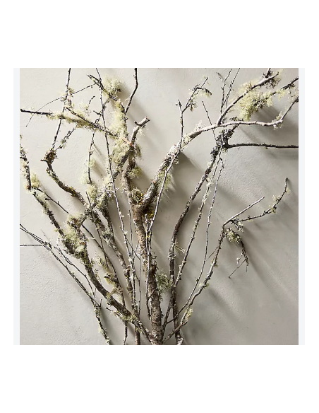 Lichen Covered Branches 6' Tall 5 Stem Bunch - Wholesale Branching