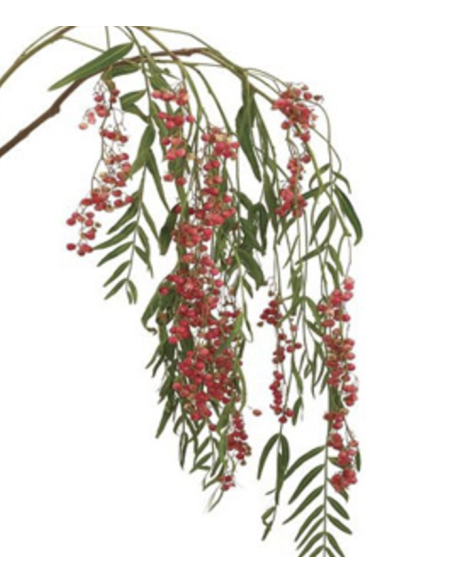 Wholesale Brazilian Pepperberry Bunches fresh for weddings and events