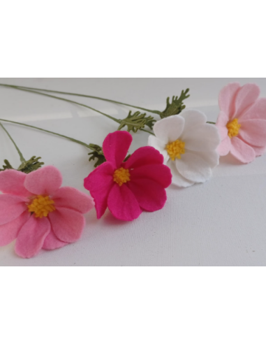 Cosmos Mix White Pink Fuchsia 10 Stem Bunch - Wholesale Flowers