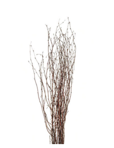 Fresh Tall Victorian Birch - 5-7 Stems | Flower Bunches