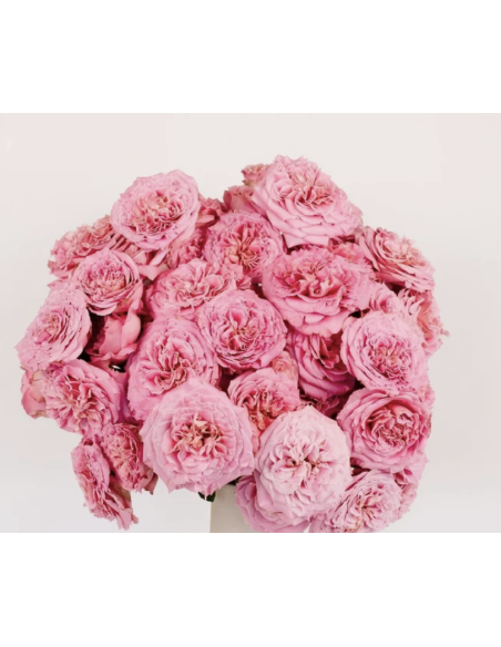 Fresh Garden Spray Rose Asst - 10 Stems | Flower Bunches