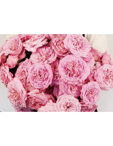 Fresh Garden Spray Rose Asst - 10 Stems | Flower Bunches