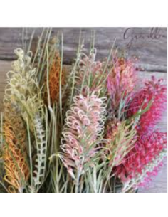 Fresh Flowering Grevillea Stems (Grower's Bunch) | Wholesale Foliage