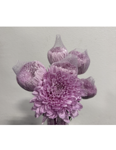 Cremones 10 Stem Bunch | Fresh Wholesale Chrysanthemums