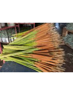 Buy Fresh Cattails 10 Stems Online | Rustic Foliage – Flower Bunches 2