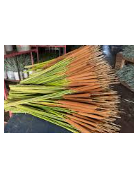 Buy Fresh Cattails 10 Stems Online | Rustic Foliage – Flower Bunches
