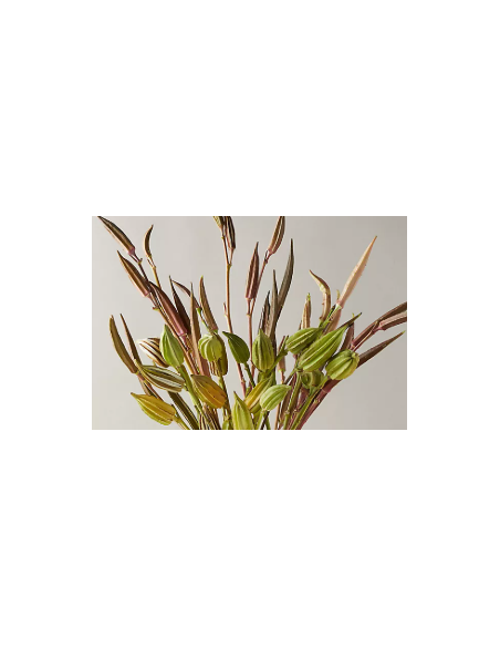 Buy Fresh Okra Pods Green 5-7 Stems Online | Flower Bunches