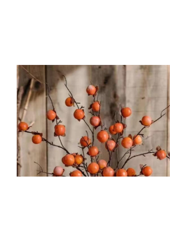 Buy Fresh Persimmons Growers Bunch Online | Flower Bunches