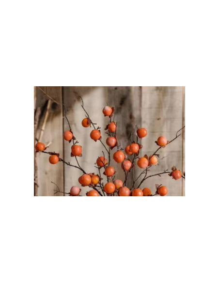 Buy Fresh Persimmons Growers Bunch Online | Flower Bunches