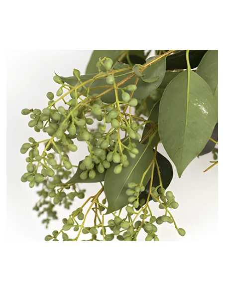Buy Fresh Privet Berry Green Growers Bunch Online | Flower Bunches