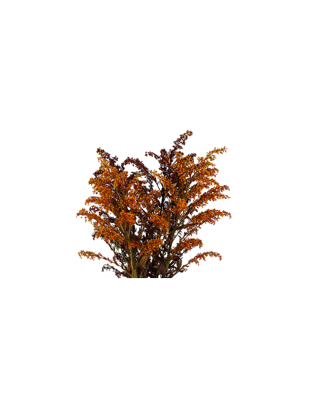 Buy Fresh Solidago Tinted Fall 10 Stems Online | Flower Bunches