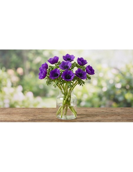 Fresh Purple Anemone Stems (10-Stem Bunch) | Flower Bunches